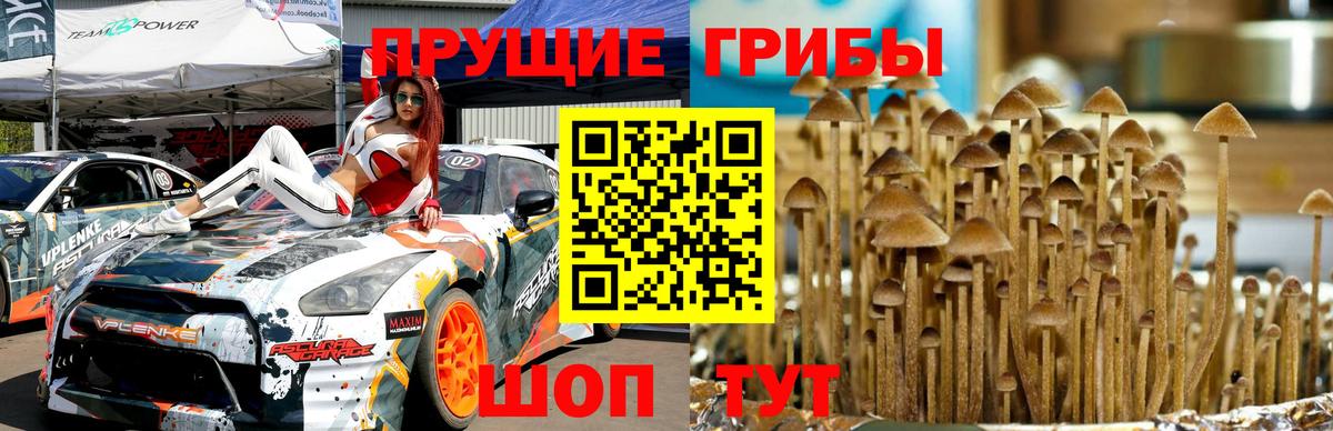 наркота  Вход с VPN  Псилоцибиновые грибы Magic Shrooms  Губаха  Галлюциногенные грибы мухоморы 